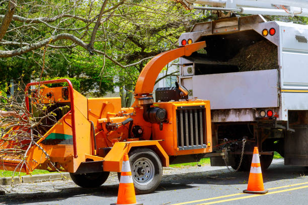 Best Firewood Processing and Delivery  in Van Alstyne, TX